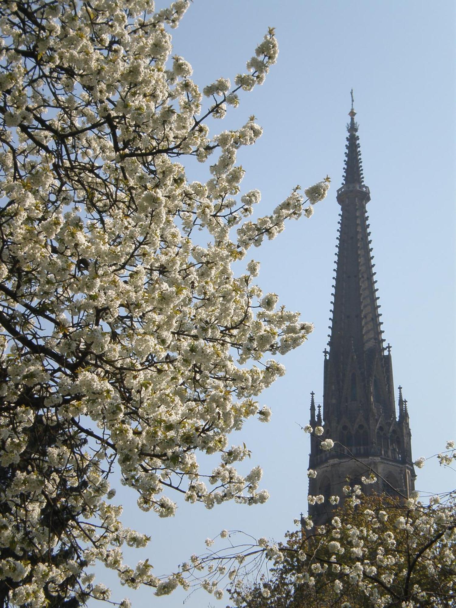 Dom Hotel Linz Bagian luar foto